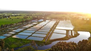 Capel Marron Farm restaurant